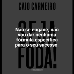 Não se engane, não vou dar nenhuma fórmula específica para o seu sucesso. Seja Foda! (Livro)
