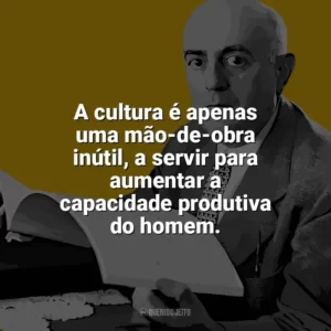 A cultura é apenas uma mão-de-obra inútil, a servir para aumentar a capacidade produtiva do homem. Theodor W. Adorno