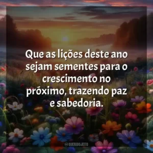Que as lições deste ano sejam sementes para o crescimento no próximo, trazendo paz e sabedoria.