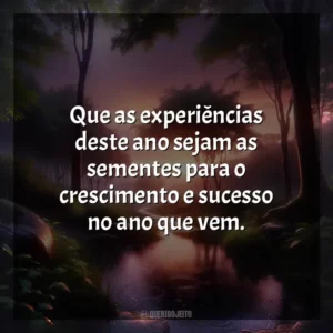 Que as experiências deste ano sejam as sementes para o crescimento e sucesso no ano que vem.