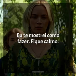 Eu te mostrei como fazer. Fique calmo.