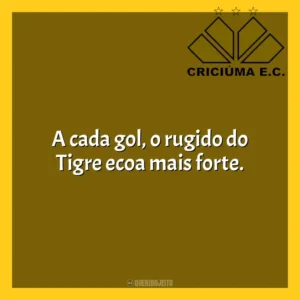 A cada gol, o rugido do Tigre ecoa mais forte. Criciúma Esporte Clube