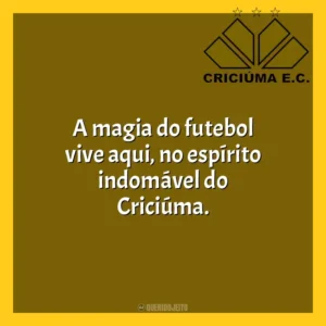 A magia do futebol vive aqui, no espírito indomável do Criciúma. Criciúma Esporte Clube