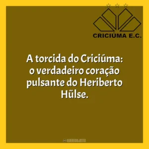 A torcida do Criciúma: o verdadeiro coração pulsante do Heriberto Hülse. Criciúma Esporte Clube