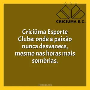 Criciúma Esporte Clube: onde a paixão nunca desvanece, mesmo nas horas mais sombrias. Criciúma Esporte Clube