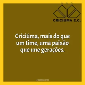 Criciúma, mais do que um time, uma paixão que une gerações. Criciúma Esporte Clube