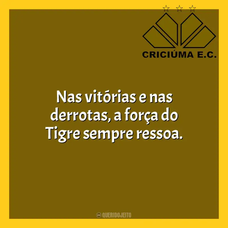Frases do Criciúma Esporte Clube campeão: Nas vitórias e nas derrotas, a força do Tigre sempre ressoa.