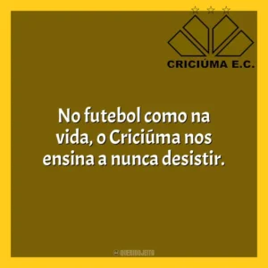No futebol como na vida, o Criciúma nos ensina a nunca desistir. Criciúma Esporte Clube