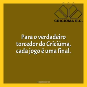 Para o verdadeiro torcedor do Criciúma, cada jogo é uma final. Criciúma Esporte Clube