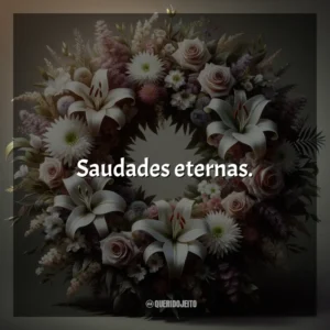 Saudades eternas.