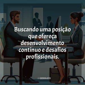 Buscando uma posição que ofereça desenvolvimento contínuo e desafios profissionais.
