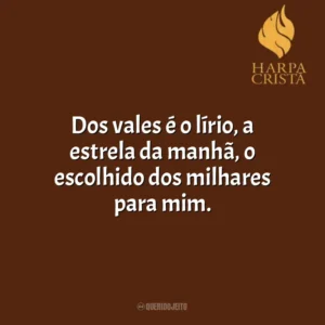 Dos vales é o lírio; é o forte Mediador, que me purifica e guarde para Si. Harpa Cristã