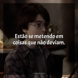Estão se metendo em coisas que não deviam. Harry Potter e a Pedra Filosofal (Filme)