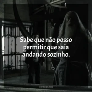 Sabe que não posso permitir que saia andando sozinho. Harry Potter e o Enigma do Príncipe (Filme)