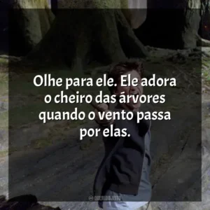 Olhe para ele. Ele adora o cheiro das árvores quando o vento passa por elas. Harry Potter e o Prisioneiro de Azkaban (Filme)