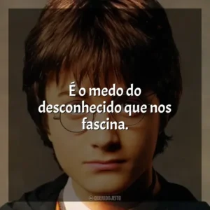 É o medo do desconhecido que nos fascina. Harry Potter (Filme)