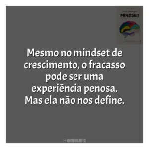Mesmo no mindset de crescimento, o fracasso pode ser uma experiência penosa. Mas ela não nos define​​. Mindset: a Nova Psicologia do Sucesso (Livro)