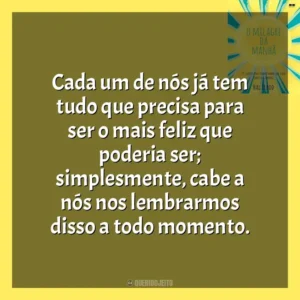Cada um de nós já tem tudo que precisa para ser o mais feliz que poderia ser; simplesmente, cabe a nós nos lembrarmos disso a todo momento. O Milagre da Manhã (Livro)
