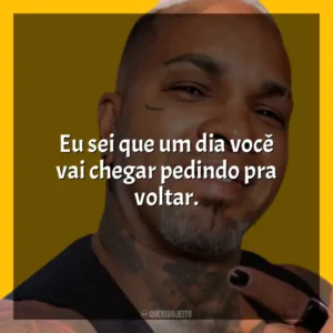 Eu sei que um dia você vai chegar pedindo pra voltar. Rodriguinho