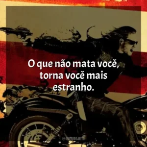 O que não mata você, torna você mais estranho. Sons of Anarchy – 2ª Temporada (Série)