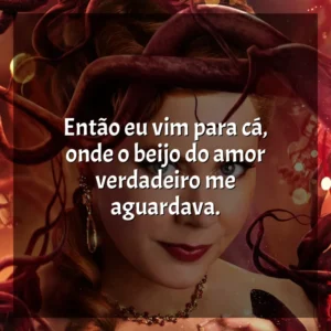 Então eu vim para cá, onde o beijo do amor verdadeiro me aguardava. Desencantada (Filme)