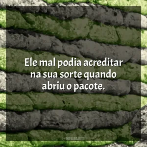 Ele mal podia acreditar na sua sorte quando abriu o pacote. Dia de Folga um Conto de Natal (Livro)