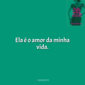 Ela é o amor da minha vida. Os Sete Maridos de Evelyn Hugo (Livro)