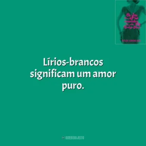 Lírios-brancos significam um amor puro. Os Sete Maridos de Evelyn Hugo (Livro)