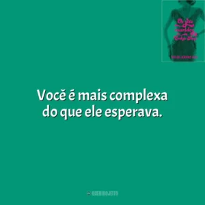 Você é mais complexa do que ele esperava. Os Sete Maridos de Evelyn Hugo (Livro)
