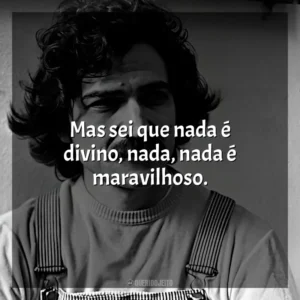 Mas sei que nada é divino, nada, nada é maravilhoso. Belchior