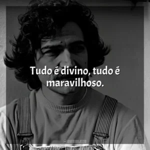 Tudo é divino, tudo é maravilhoso. Belchior