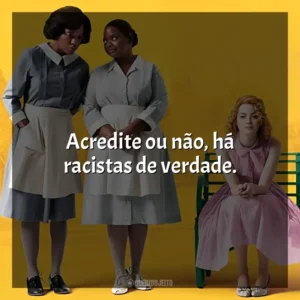 Acredite ou não, há racistas de verdade. Histórias Cruzadas (Filme)