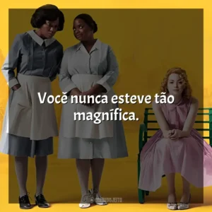 Você nunca esteve tão magnífica. Histórias Cruzadas (Filme)