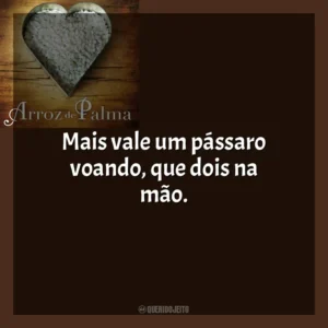 Mais vale um pássaro voando, que dois na mão. O Arroz de Palma (Livro)