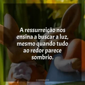 A ressurreição nos ensina a buscar a luz, mesmo quando tudo ao redor parece sombrio. Páscoa
