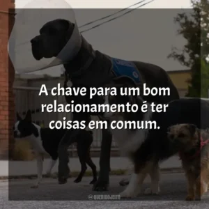 A chave para um bom relacionamento é ter coisas em comum. Ruim Pra Cachorro (Filme)