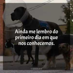 Ainda me lembro do primeiro dia em que nos conhecemos. Ruim Pra Cachorro (Filme)