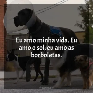 Eu amo minha vida. Eu amo o sol, eu amo as borboletas. Ruim Pra Cachorro (Filme)