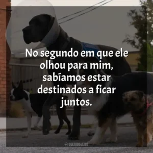 No segundo em que ele olhou para mim, sabíamos estar destinados a ficar juntos. Ruim Pra Cachorro (Filme)