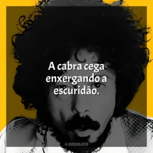 A cabra cega enxergando a escuridão. Tom Zé