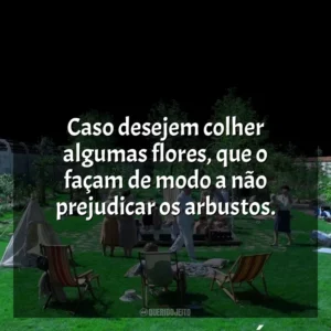 Caso desejem colher algumas flores, que o façam de modo a não prejudicar os arbustos. Zona de Interesse (Filme)
