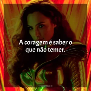 A coragem é saber o que não temer. Mulher-Maravilha 1984 (Filme)
