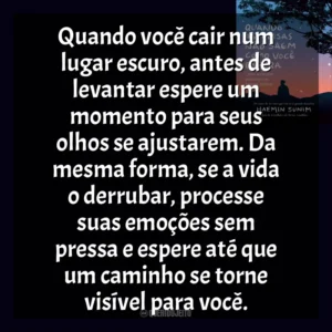 Quando você cair num lugar escuro, antes de levantar espere um momento para seus olhos se ajustarem. Da mesma forma, se a vida o derrubar, processe suas emoções sem pressa e espere até que um caminho se torne visível para você. Quando As Coisas Não Saem Como Você Espera (Livro)