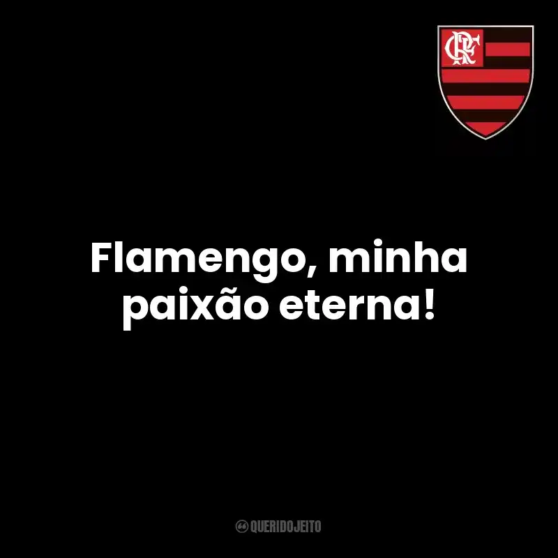 Frases de Clube de Regatas do Flamengo time: Flamengo, minha paixão eterna!
