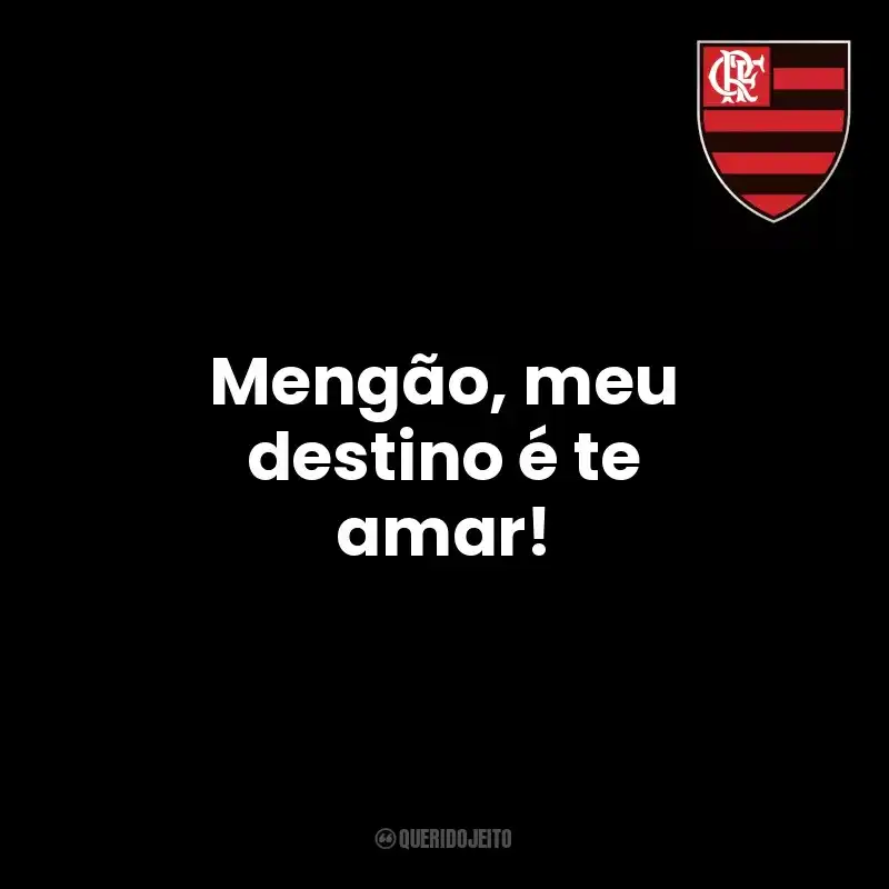 Frase final do time Clube de Regatas do Flamengo: Mengão, meu destino é te amar!
