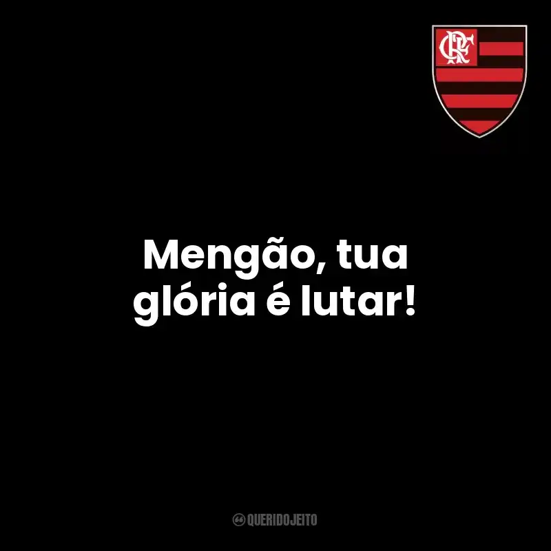 Frases de campeão do time Clube de Regatas do Flamengo: Mengão, tua glória é lutar!