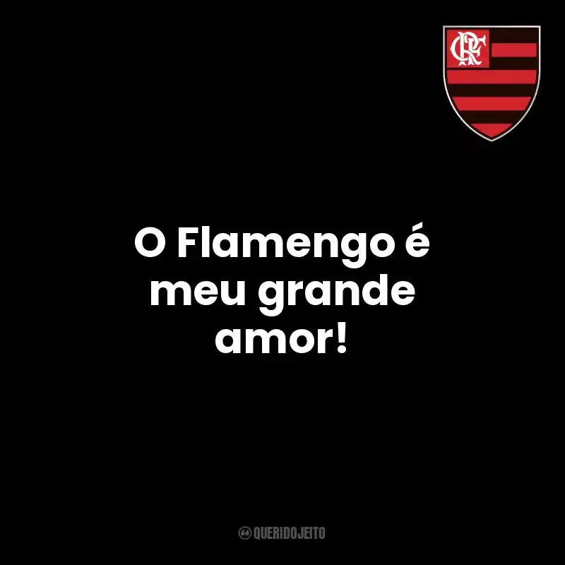 Frases Clube de Regatas do Flamengo time: O Flamengo é meu grande amor!