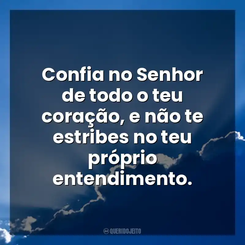 Confia no Senhor de todo o teu coração; e não te estribes no teu próprio entendimento. (Provérbios 3:5). Deus