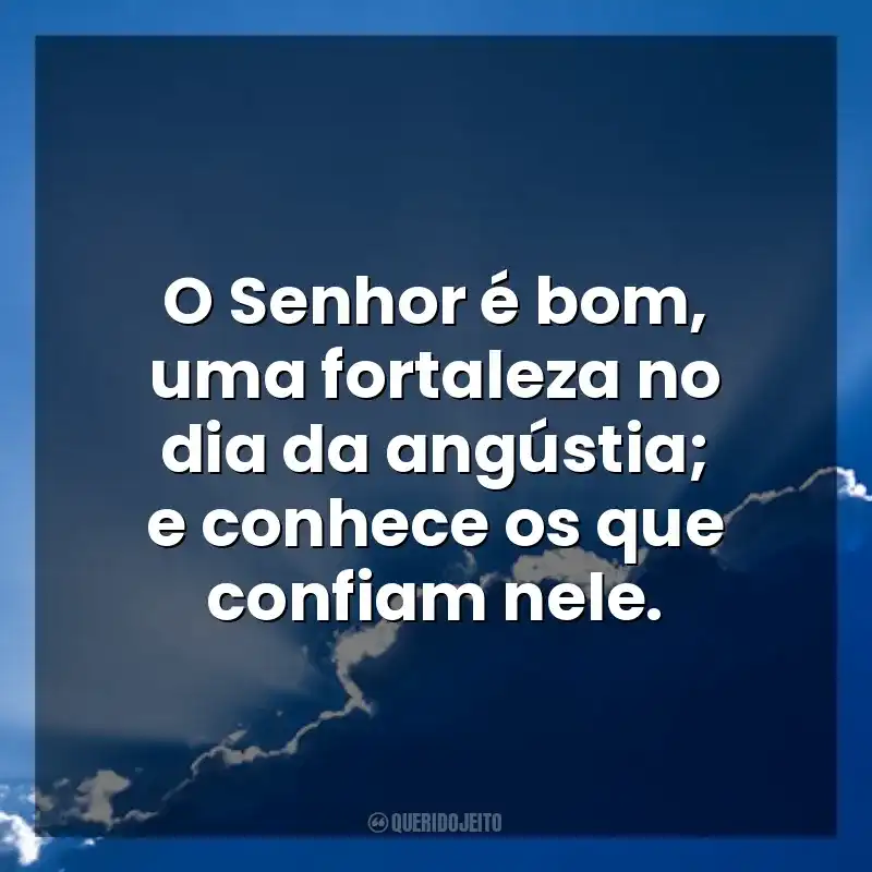 O Senhor é bom, uma fortaleza no dia da angústia; e conhece os que confiam nele. Deus