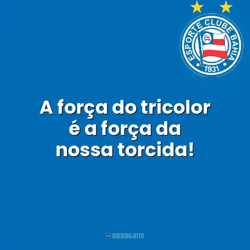 Frases Esporte Clube Bahia time: A força do tricolor é a força da nossa torcida!